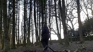A Little Flash In The Forest On A Cold January Day